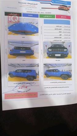 جيب رينيجيد